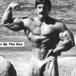 Mentzer Mike / 228 photos /